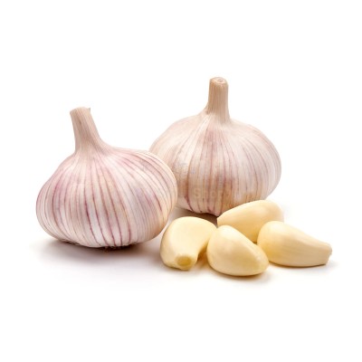 Чеснок крупный 1 кг - купить в Нуркеево