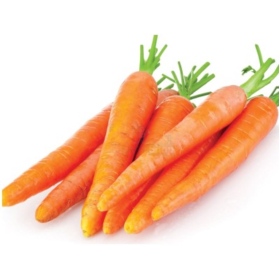 Морковь молодая 1 кг - купить в Нуркеево