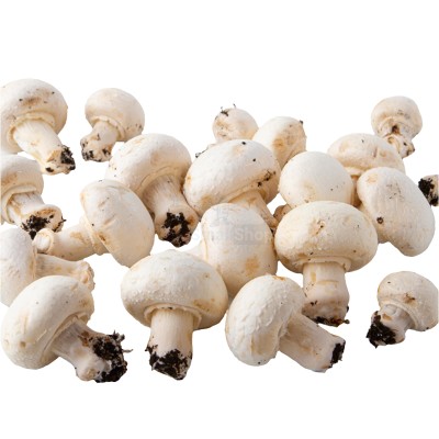 Шампиньоны свежие 500 г - купить в Нуркеево